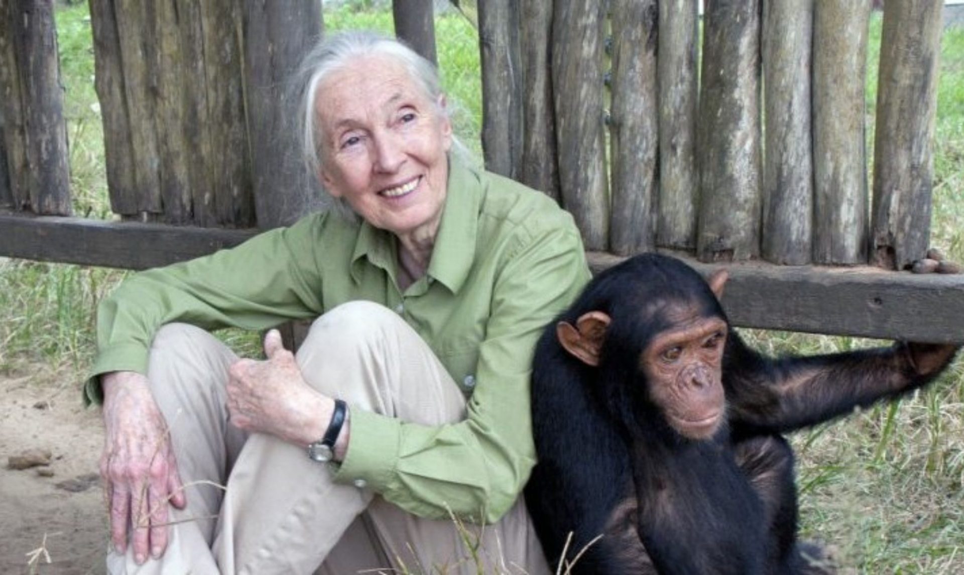 Le message de Jane Goodall pour The Inspiration Journey