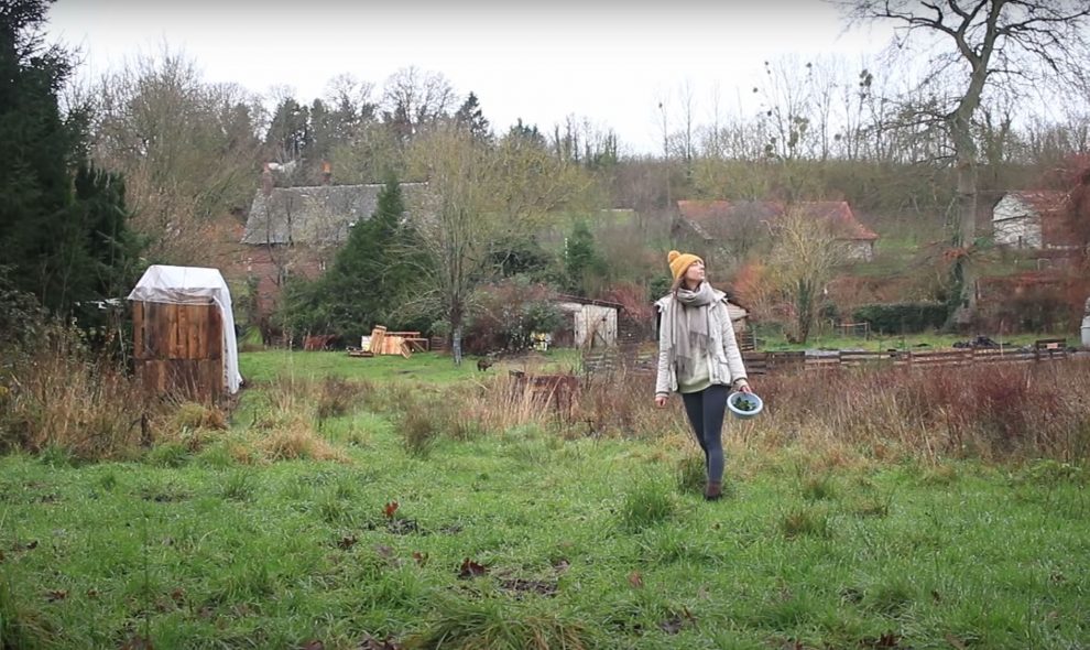 LibreEtSauvage-nouvelle-vie-campagne