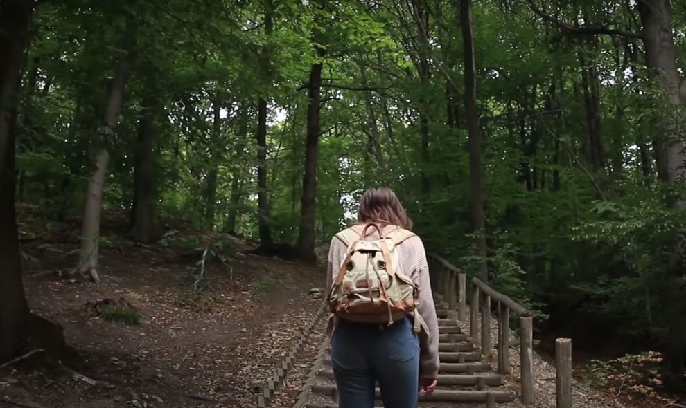 LibreEtsauvage-survivre-ville-sensible