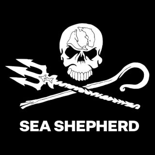 Un projet soutenu par Sea Shepherd