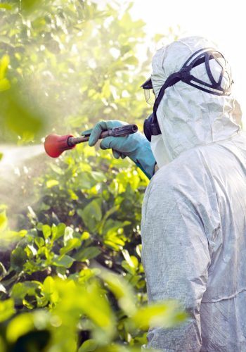 La présence des pesticides dans notre quotidien