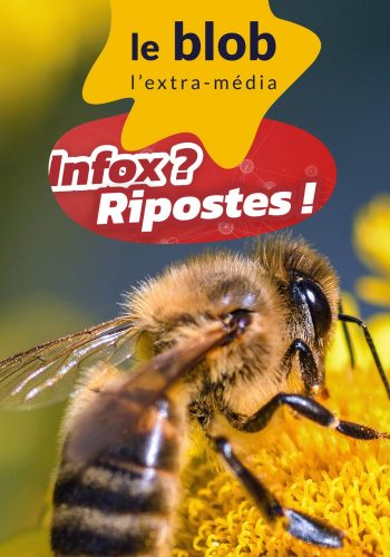 Abeilles et pesticides, l’art de fabriquer du doute : Infox ? Ripostes ! avec Thomas Gauthier