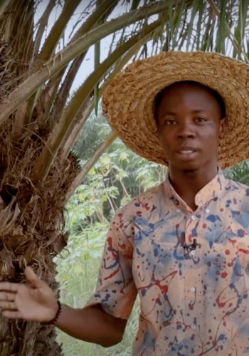 L’agronome qui marie les cultures et les arbres au Bénin