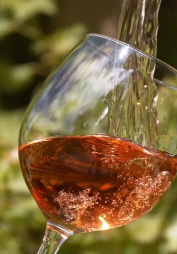 Quels vins boirons-nous en 2050, avec le changement climatique ? | Dans les coulisses du climat