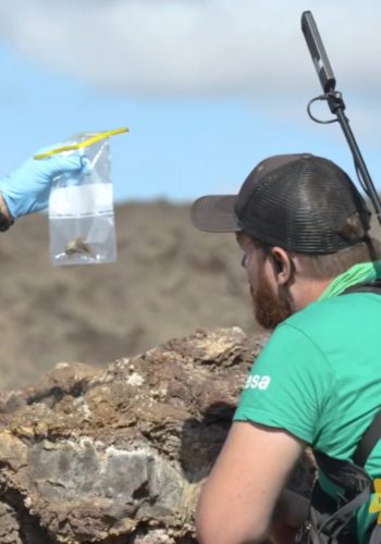 Pangaea, un cours de géologie pour astronautes à Lanzarote | Reportage