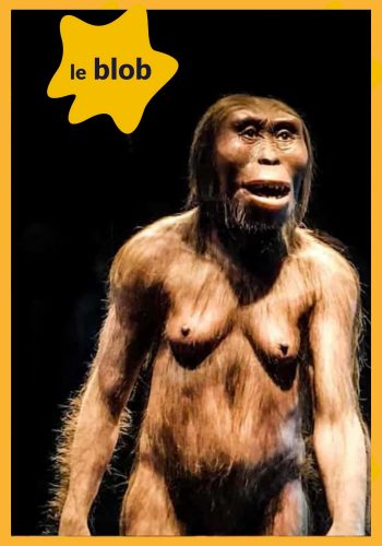 Lucy l’Australopithèque se tenait aussi droite que nous | Actu de science